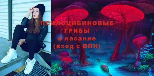 твердый Алексеевка