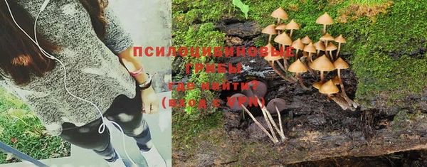 герыч Сатка